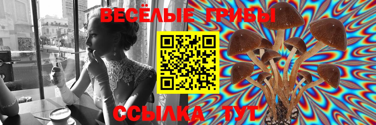Псилоцибиновые грибы прущие грибы Мариинск