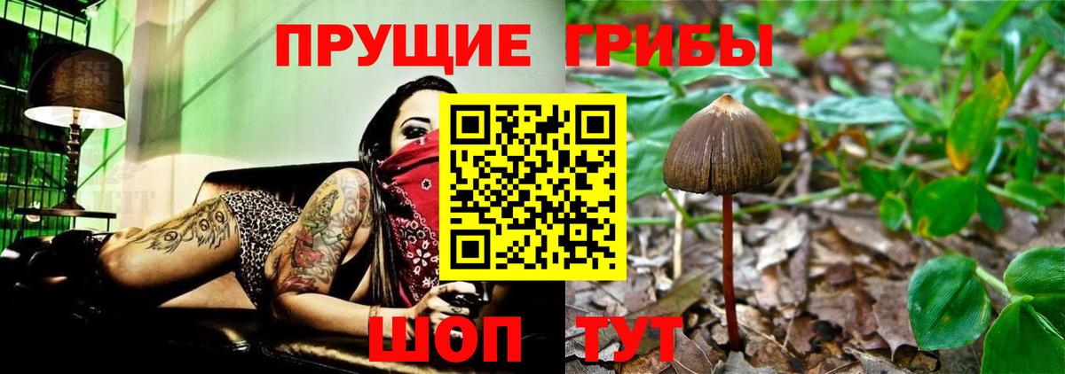 Псилоцибиновые грибы мицелий  Галлюциногенные грибы Psilocybine cubensis  Мариинск  Вход с VPN 